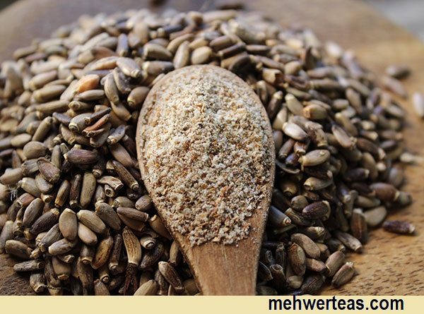 milk-thistle-seed-and-powder (1) milk-thistle-seed-and-powder