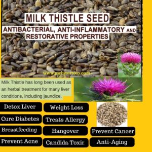 MILK THISTLE SEEDS