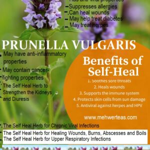 xself-heal-herb