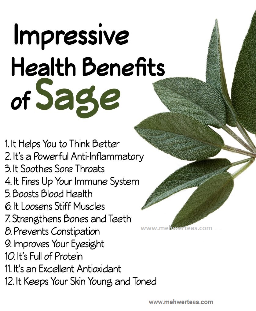 HEALTH BENEFETS OF SAGE HEALTH-BENEFETS-OF-SAGE