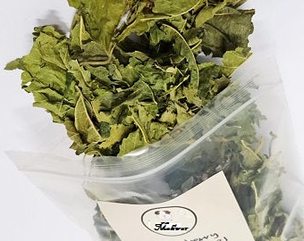 MULBERY LEAVES Mulberry leaf tea