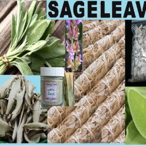 Sage-herb