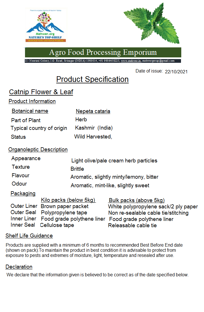 Catnip- herb -Specification