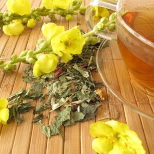 smokable mullein