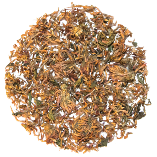 red-clover-tea-500x500 (1)