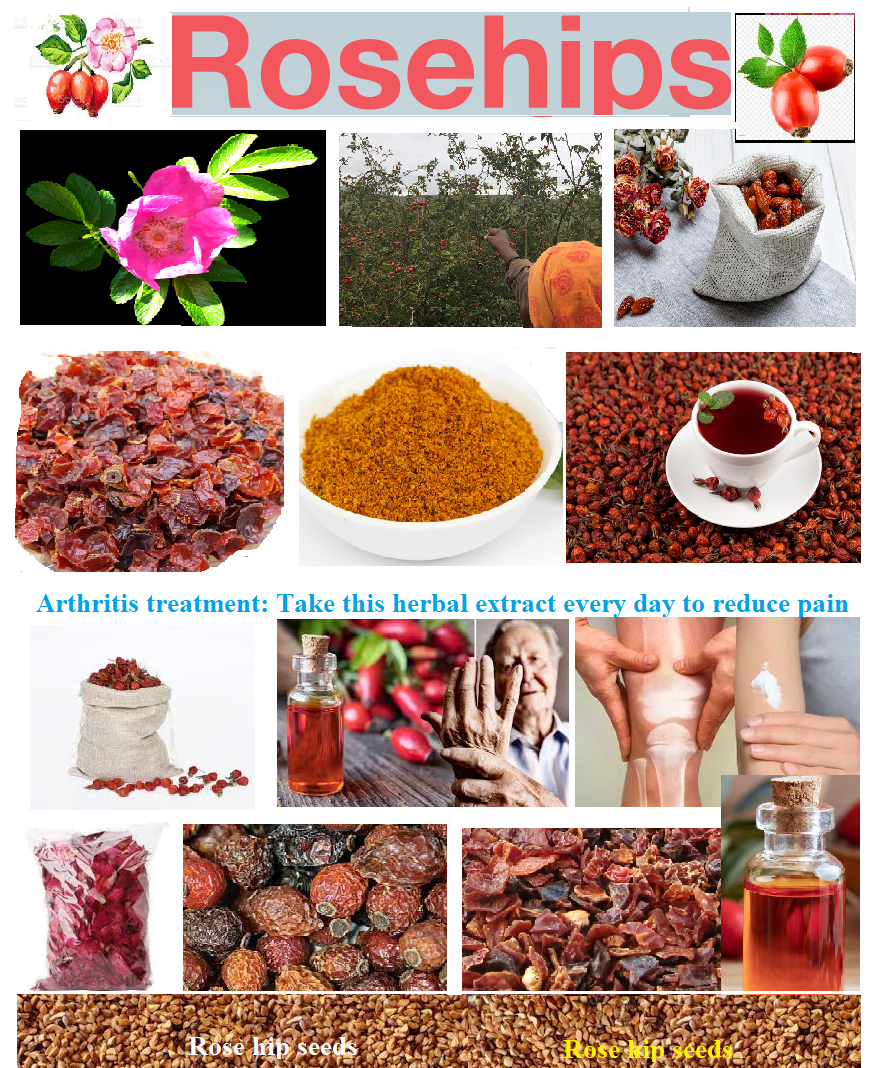 Rosehip