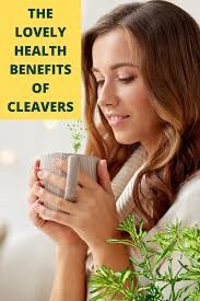 cleaves-image