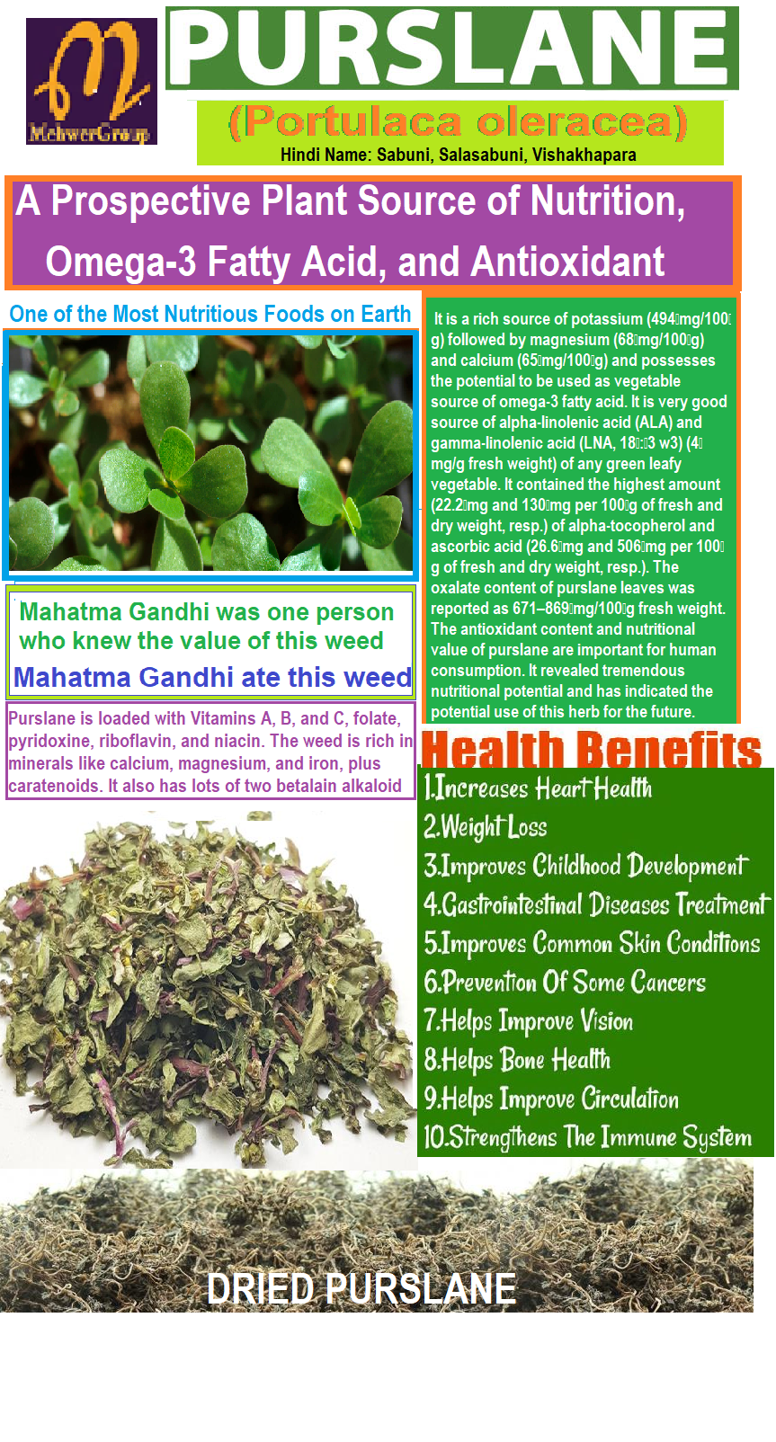 Purslane Weed
