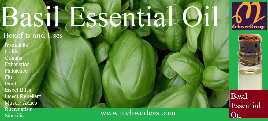 basil-essential-oil (1)