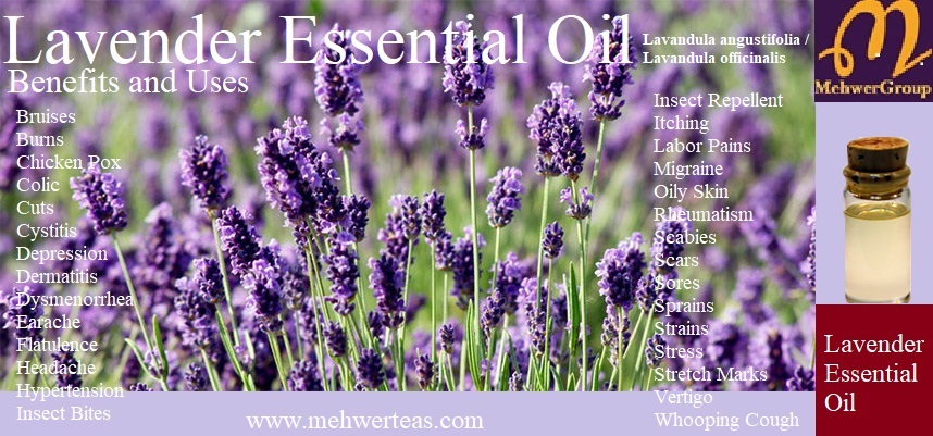 lavender-essential-oil